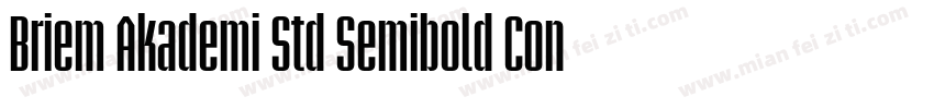 Briem Akademi Std Semibold Cond字体转换